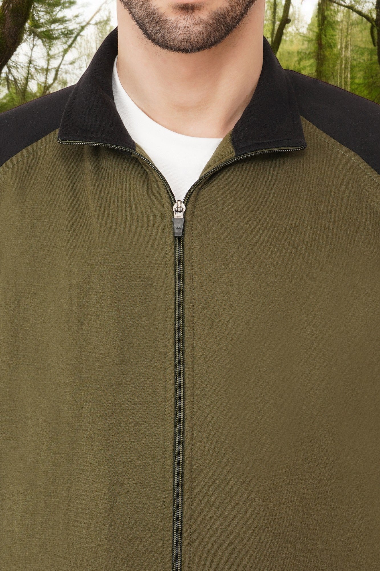 #color_olive_green